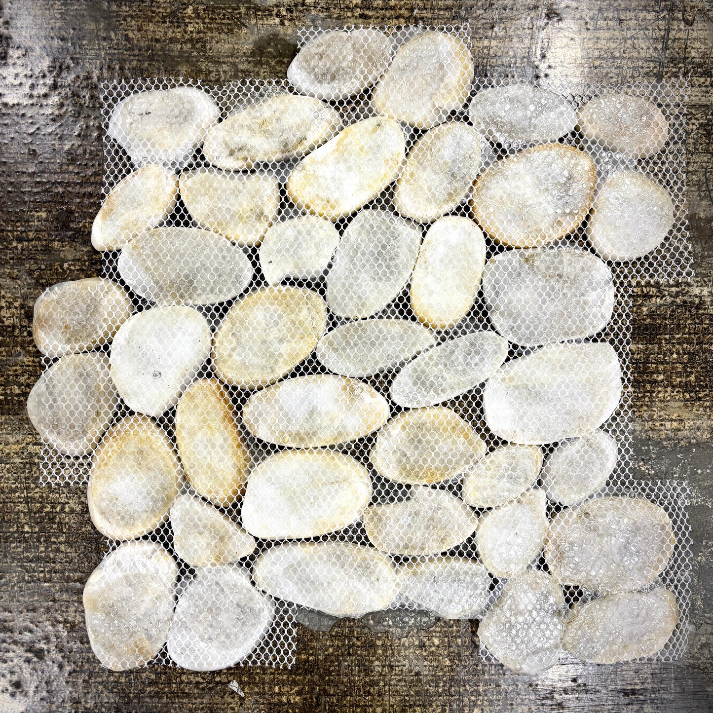 WEN Mosaics - White Polished