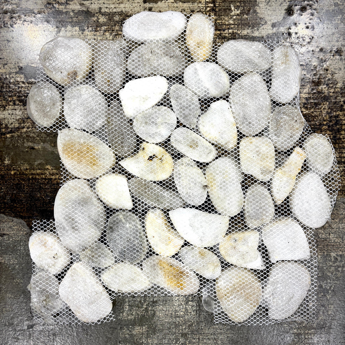 WEN Mosaics - White High Polished