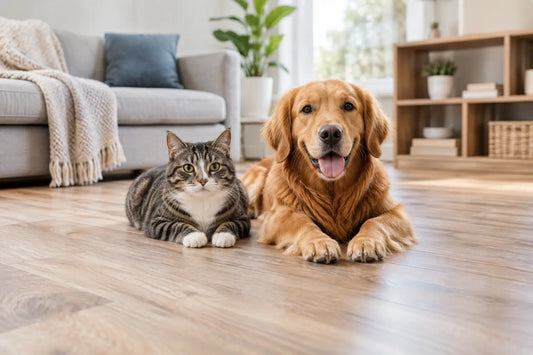 What Flooring Works With Pets? Best Options