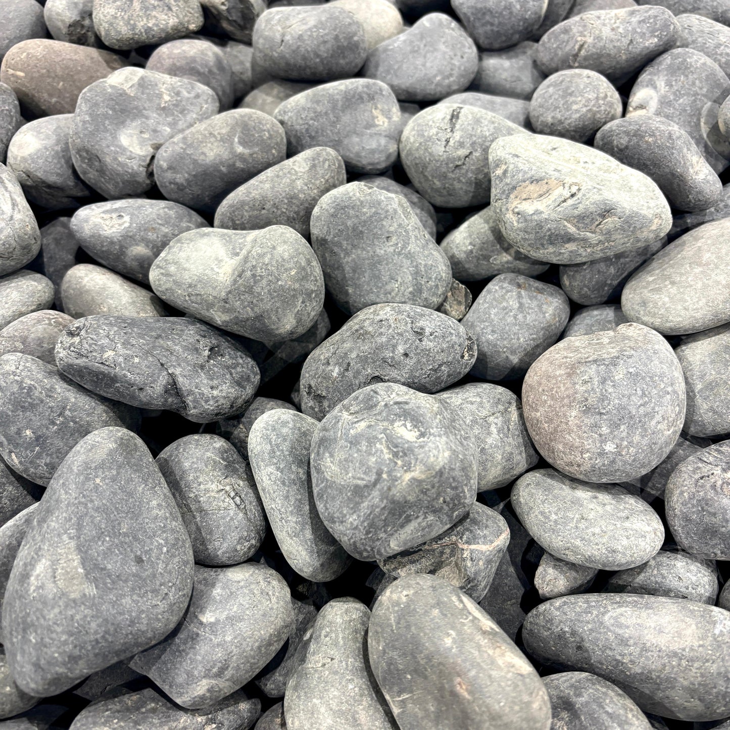 Blasted Grey