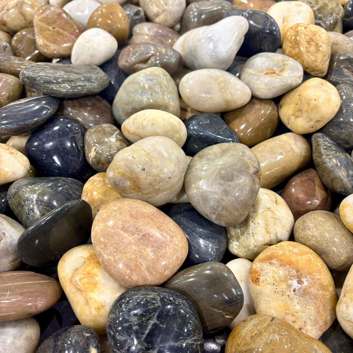 Polished Mixed