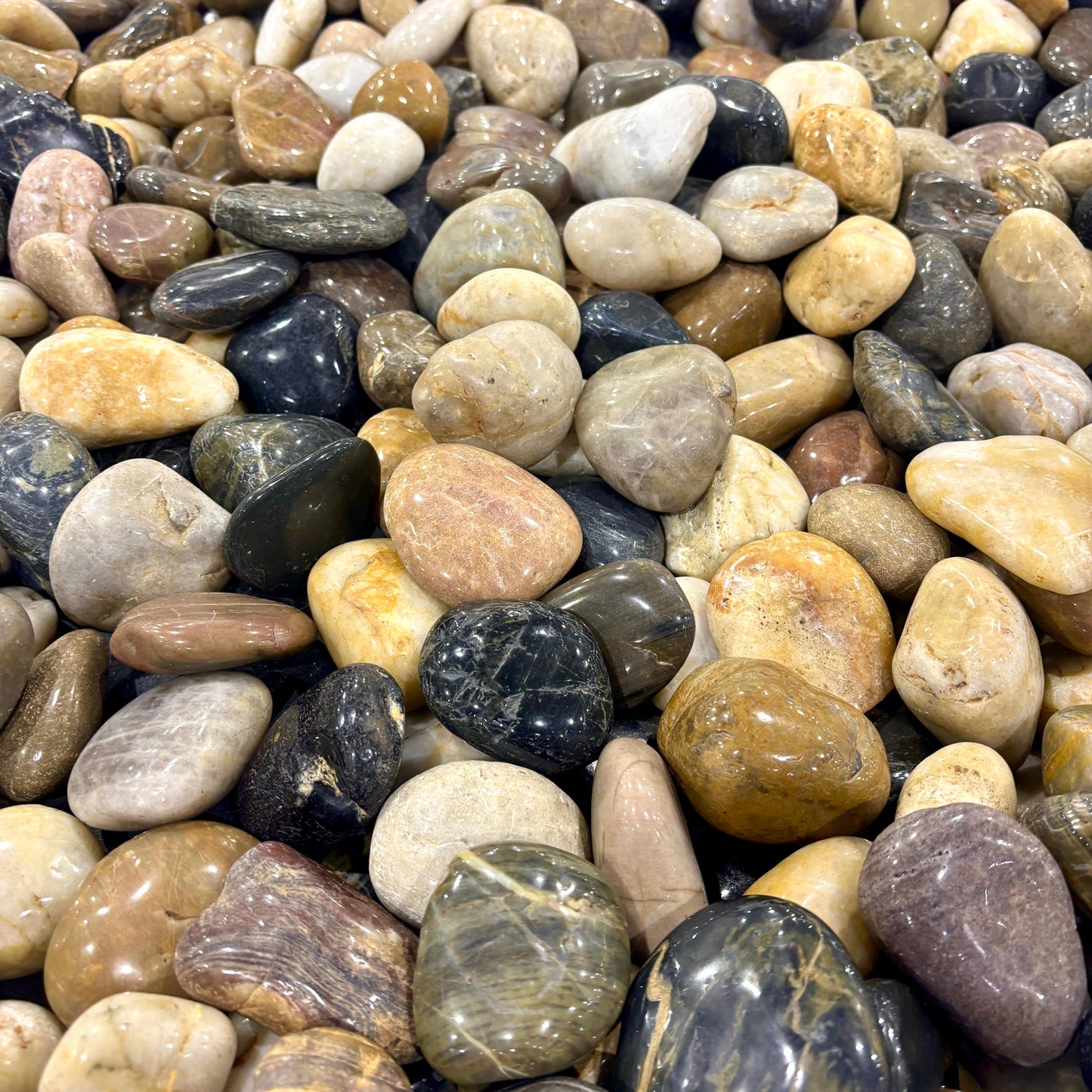 Polished Mixed