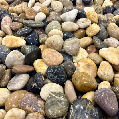 Polished Mixed