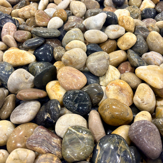 Polished Mixed