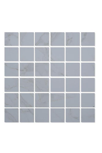 MO:MO4:FP68005-2x2 Mosaic