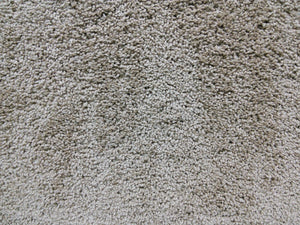 SP70 Residential Plush Carpet #4 - CAR1012