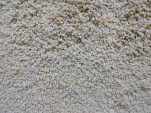 Monterey Residential Plush Carpet Eggshell - CAR1084