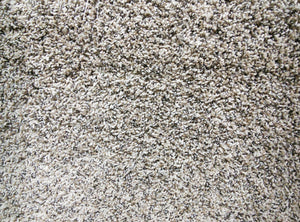Standoff Residential Plush Carpet Cashew - CAR1107