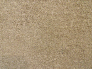 Emphatic Beige Commercial Plush Carpet - CAR1189